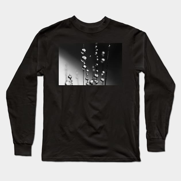 Grass Seed Drops II Long Sleeve T-Shirt by SharonJ